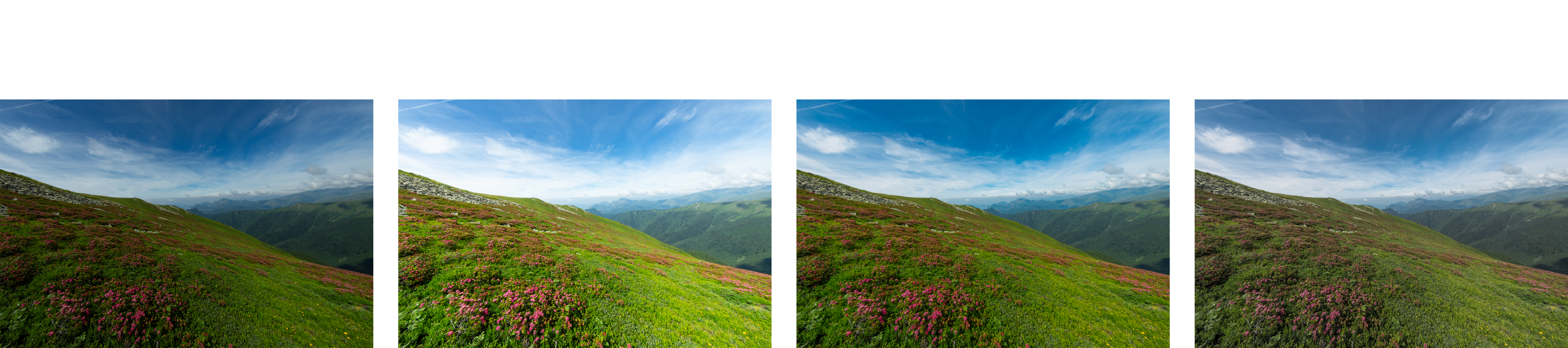 Immagine presentazione